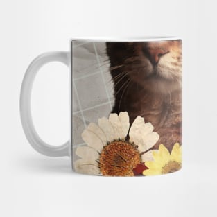 You Need A Cat Mug